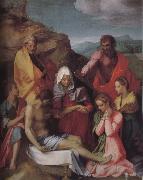 Andrea del Sarto Dead Christ and Virgin mary oil on canvas